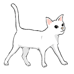 [LINEスタンプ] 白い猫ねこねこねこ 