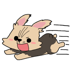 [LINEスタンプ] ごヨーキーワンコのコロ 