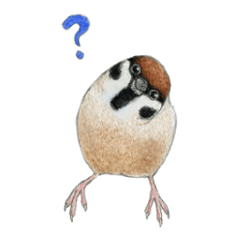[LINEスタンプ] のりさんの鳥スタンプ 