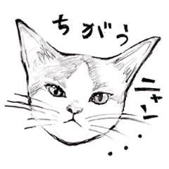 [LINEスタンプ] そうだワン＆ちがうニャン 
