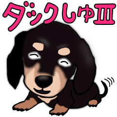 [LINEスタンプ] ダックしゅⅢ（クロたん） 