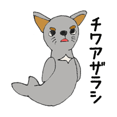 [LINEスタンプ] チワアザラシ fetchpriority=high
