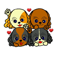 [LINEスタンプ] キャバリアばっかりのスタンプ 