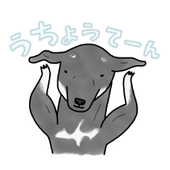 [LINEスタンプ] ビクオ fetchpriority=high