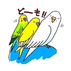 [LINEスタンプ] 鳥バカ日記 佐藤家のセキセイインコ 