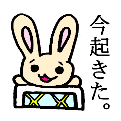 [LINEスタンプ] 信じてはいけない言葉集 