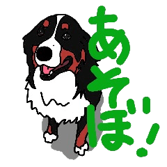 [LINEスタンプ] バーニーズの生活。 fetchpriority=high