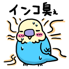 [LINEスタンプ] インコ臭ぇスタンプ 