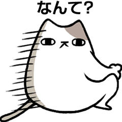 [LINEスタンプ] 猫びより 