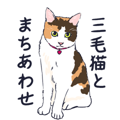 [LINEスタンプ] 三毛猫と待ち合わせ