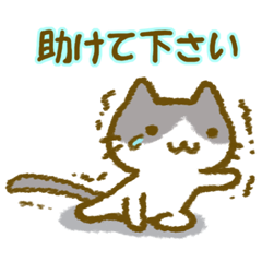 [LINEスタンプ] 助け合うネコさんたちのスタンプ 