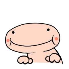 [LINEスタンプ] サンショウウオさん 
