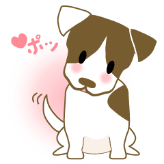 [LINEスタンプ] はずかしがり屋のジャックラッセル 