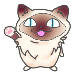 [LINEスタンプ] バーマン猫！！ 