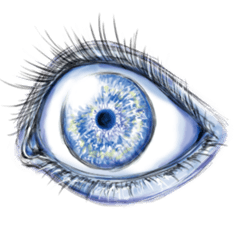 [LINEスタンプ] 「眼」 