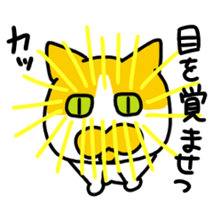 [LINEスタンプ] マプねこ 