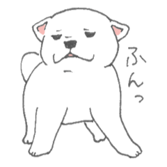 [LINEスタンプ] しろ柴犬の子犬 