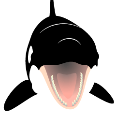 [LINEスタンプ] 続・シャチまみれ 