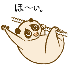 [LINEスタンプ] あっ！ロリス！！ 