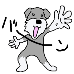 [LINEスタンプ] ミニチュアシュナウザーのわがままマーコ 