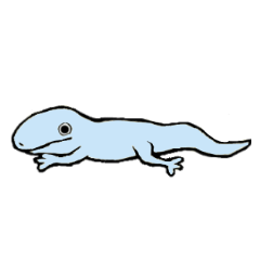 [LINEスタンプ] とかげがすき 
