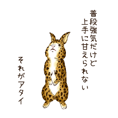 [LINEスタンプ] ヒョウ柄うさぎ fetchpriority=high