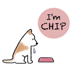 [LINEスタンプ] CHIPさん。 