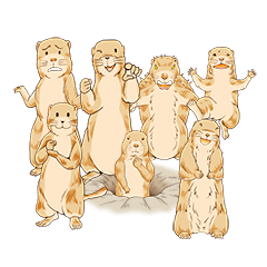 [LINEスタンプ] かわいいプレーリードッグ 