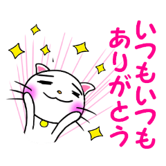 [LINEスタンプ] 毎日ねこスタンプグループトーク 