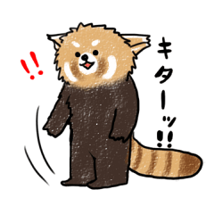 [LINEスタンプ] レッサーパンダのれさぱん君 