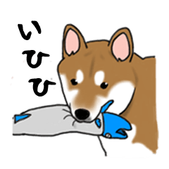 [LINEスタンプ] 柴犬クマと愉快な仲間達 