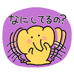 [LINEスタンプ] 空回り速攻ゾウ。 