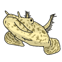 [LINEスタンプ] 魅惑のポリプテルス fetchpriority=high