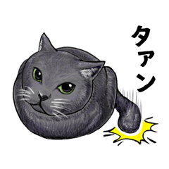 [LINEスタンプ] あっネコがいる！ 