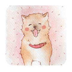 [LINEスタンプ] 癒しのコロちゃん 