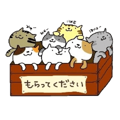 [LINEスタンプ] ほんわかねこ日和 