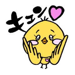 [LINEスタンプ] ぴよりさん 