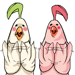 [LINEスタンプ] なんかムカつく鳥スタンプ