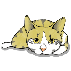 [LINEスタンプ] うちのネコです。1 