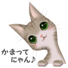 [LINEスタンプ] ねこ語 