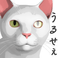 [LINEスタンプ] にゃんだか憎めにゃい奴。1 白猫 