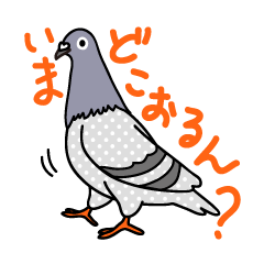 [LINEスタンプ] ハトライフ 