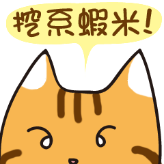 [LINEスタンプ] Jiong face Cat 