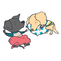 [LINEスタンプ] BOLT X CANON 