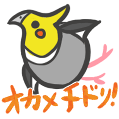 [LINEスタンプ] オカメチドリ
