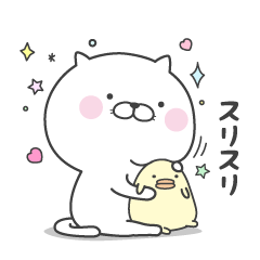 [LINEスタンプ] ぬこ、ところによりピヨ。2日目 