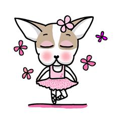 [LINEスタンプ] BIRKIN the Chihuahua 