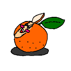 [LINEスタンプ] ミラクルラブリーオレンジ 