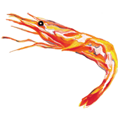 [LINEスタンプ] えびやろう 