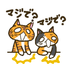[LINEスタンプ] ねこがいっぱい2(二人一組編) 